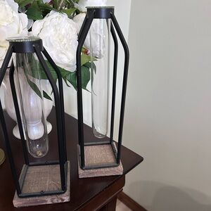 Black Metal and Glass Test Tube Vase Set
